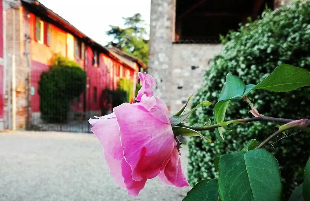 Casarossa-1